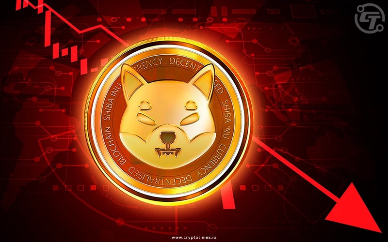 Shiba Inu Prices Drop 25%, Long Term Holders Remain Bullish