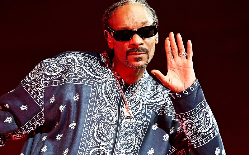 Snoop Dogg Launches  #ArtTank Campaign To Acquire NFT For Medici Emerging
