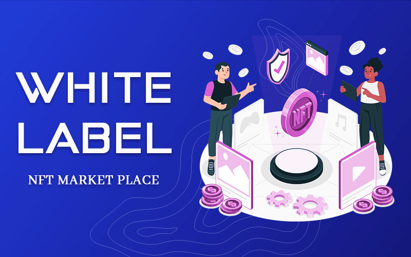 Start your business with White Label NFT Marketplace Website