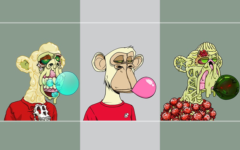 BAYC Holder Loses $567,000 Worth NFTs to Scammer