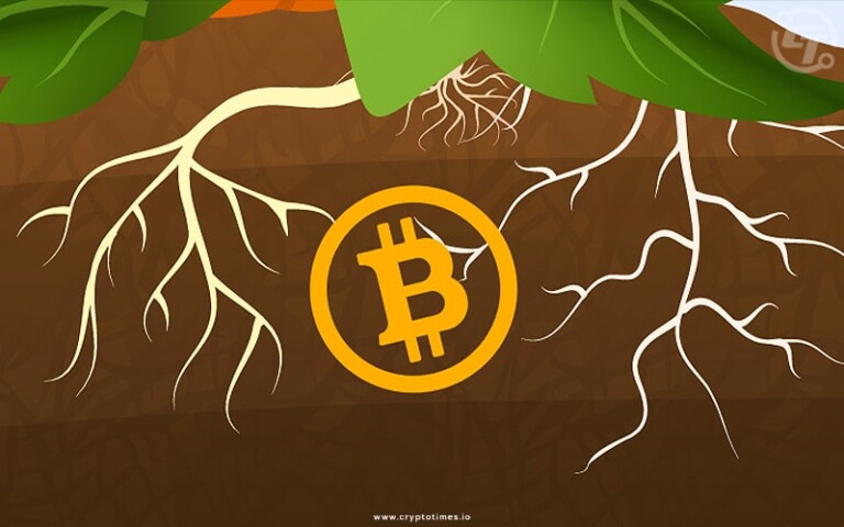 Taproot Launches Script for Bitcoiners to Reject Ordinals