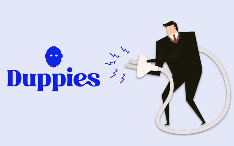Hackers Drain Multiple Wallets Targeting Duppies Nft