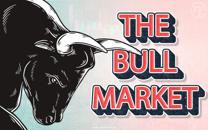 Understanding the Bull Market What Should Traders Expect Article Website