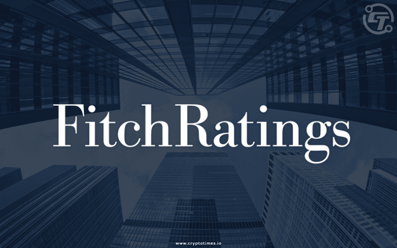 Fitch Warns Possible Risks Related to Stablecoin Growth, Regulation