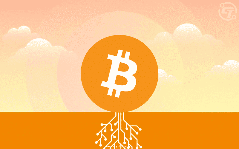 Bitcoin's Long-awaited Taproot Upgrade is Activated