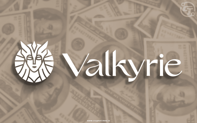 Valkyrie to Launch $100 million Hedge Fund Focused on DeFi