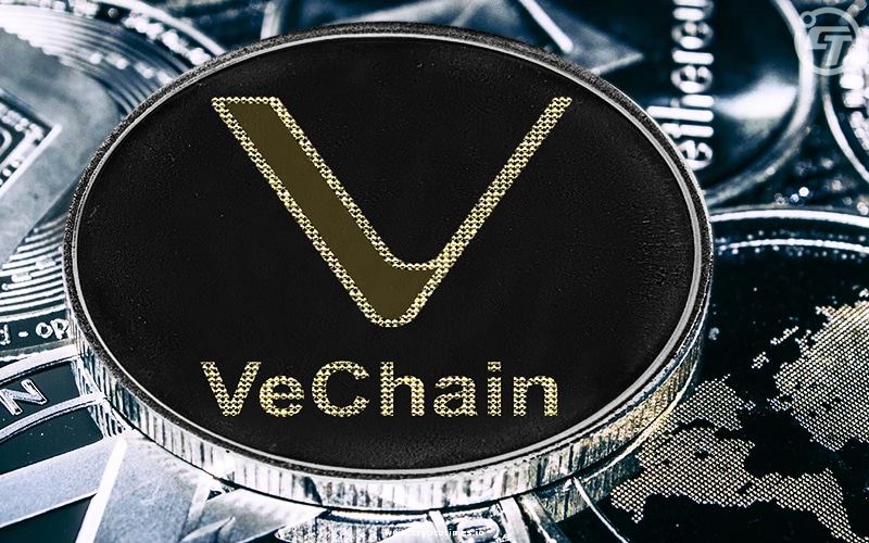 VeChain Collaborates with UFC to Introduce Tokenized Gloves