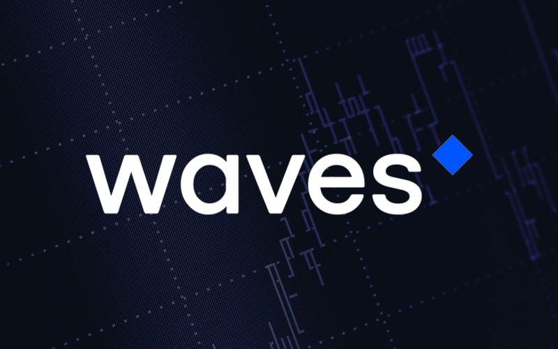 Waves Blames Daxa’s Warning For The Damage To Waves Token