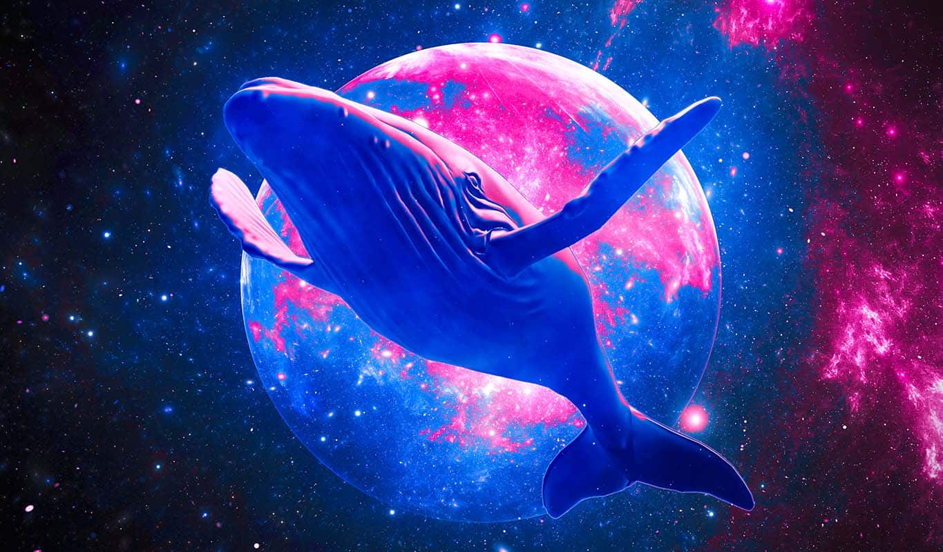 Ethereum Whale Withdraws $15.94 Million in ETH From Binance, Signalling Bullish Outlook