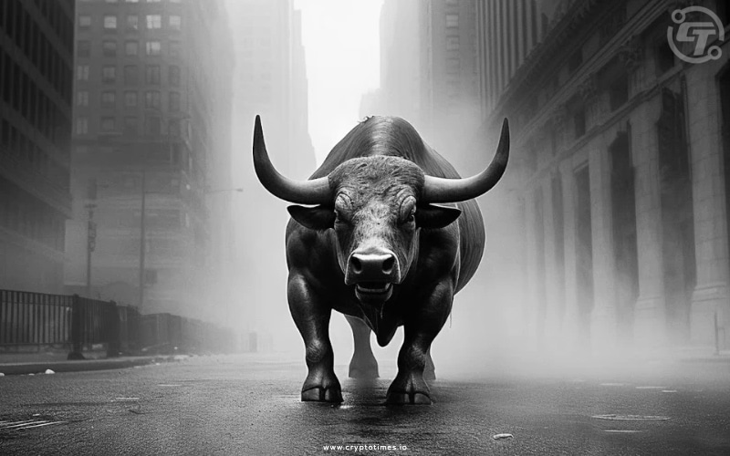 XRP Community Buzzing Over Potential Bull Run