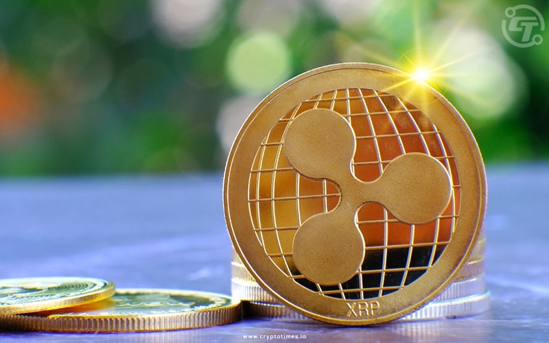 Xrp Price Is Continuously Increasing