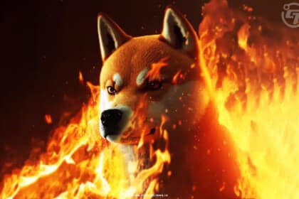 Bonk Becomes 3Rd Largest Dog-Themed Memecoin After Solana Hype