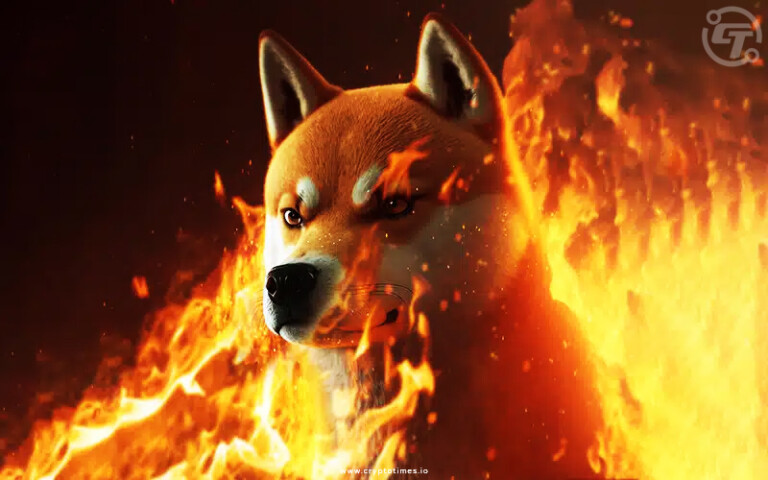 BONK Becomes 3rd Largest Dog-themed Memecoin After Solana Hype