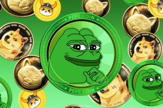 meme coins back in trend pepe and Floki inu pump
