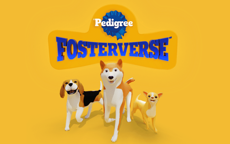 Pedigree Launches Fosterverse in Decentraland for Homeless Dogs