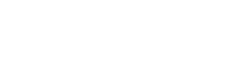 the crypto times logo