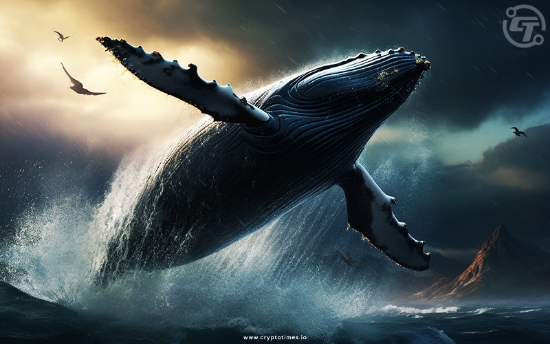 Arbitrum Whales Move $58M After Token Unlock