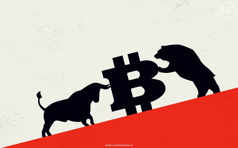 Bitcoin Bulls vs. Bubble Bears: A Cryptocurrency Clash