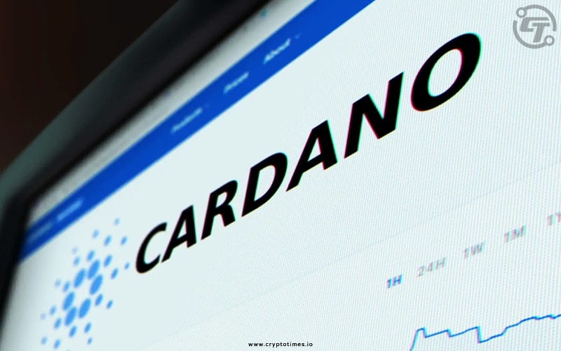 Cardano Launches Fiat-Backed USDM Amid Tether Dominance