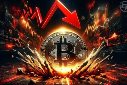 Meme Altcoins Tumble as Bitcoin Slides from All-Time Highs