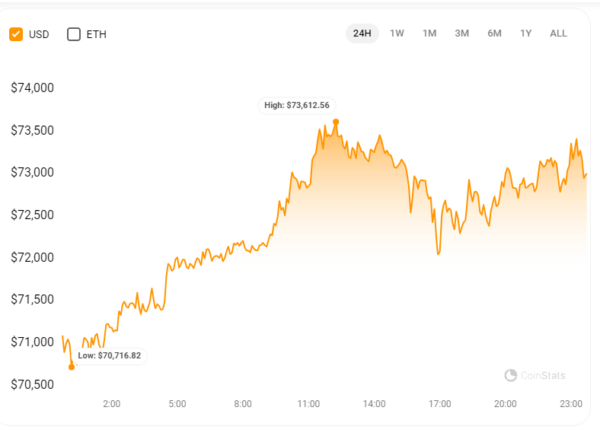 Bitcoin Breaks The $73K Barrier: Etf Inflows Ignite Record Highs 2 Btc/Usd 24-Hr Price Chart