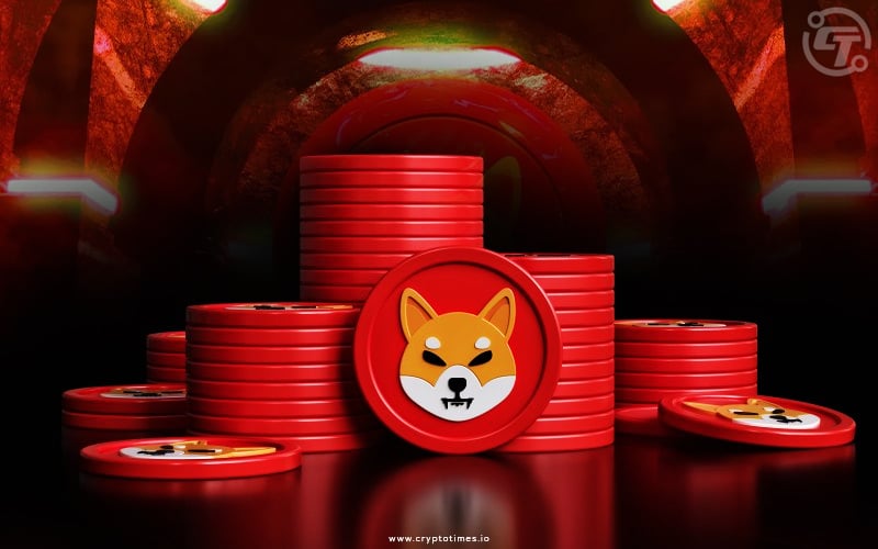 Reasons Why Shiba Inu Digital Assets Are the Best Tools to Maximize Your Returns