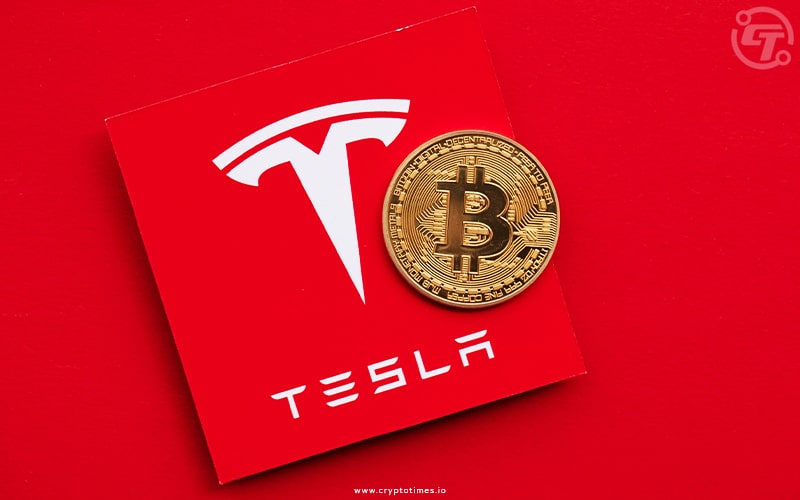 Tesla's Increased Bitcoin Wallet Balance Sparks Speculations