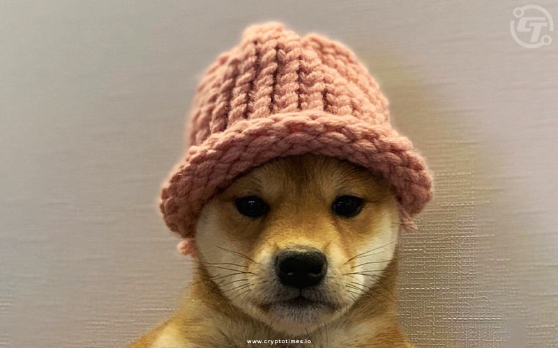 Dogwifhat Becomes the Third-Largest Meme Coin, As Bitcoin at $70K