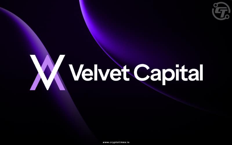 Velvet Capital Went Offline To Stop Phishing Attack