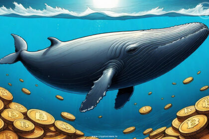 Bitcoin Whales Accumulate Pre-Halving, Signaling Price Surge