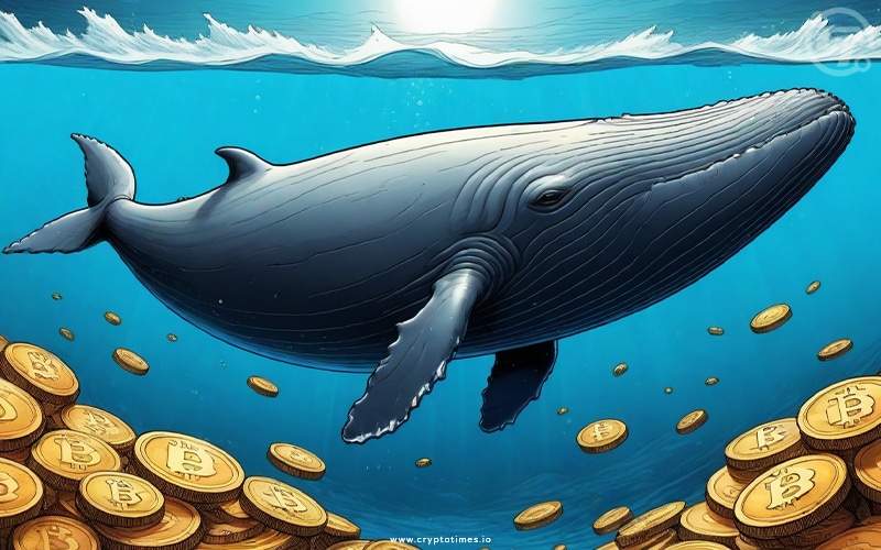 Bitcoin Whales Accumulate Pre-Halving, Signaling Price Surge