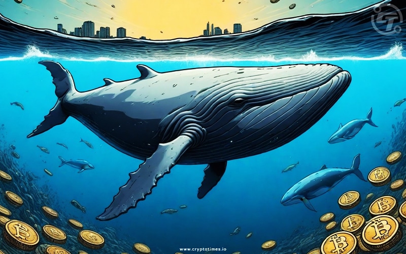 Crypto Whale Transfers $322 Million BTC to Coinbase
