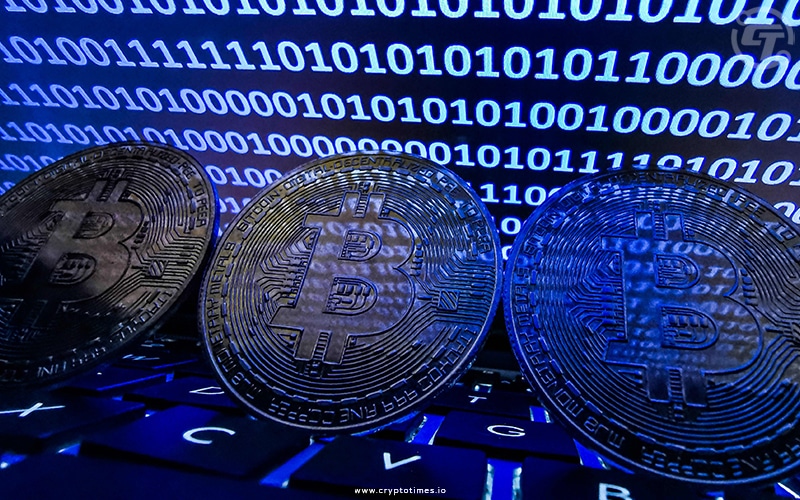 Velvet Capital Went Offline To Stop Phishing Attack