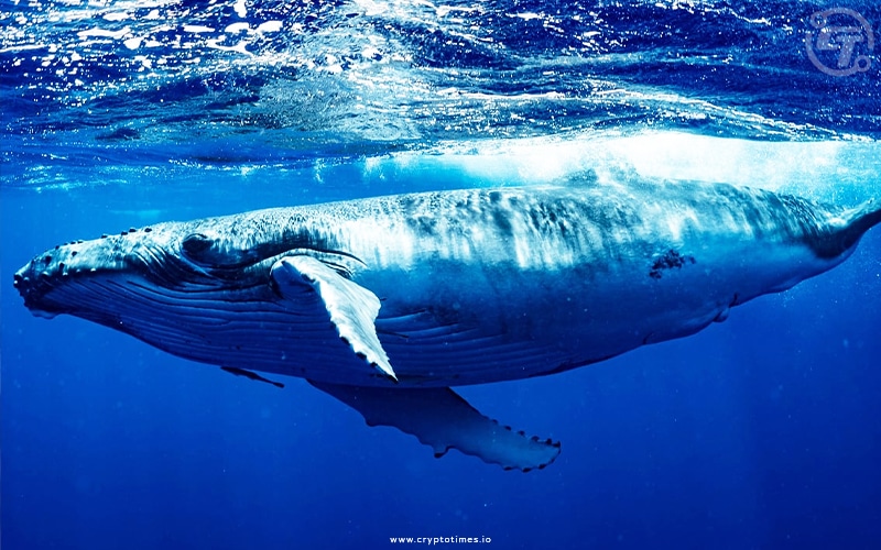 Ethereum Price Drops After Whale Sell-Off