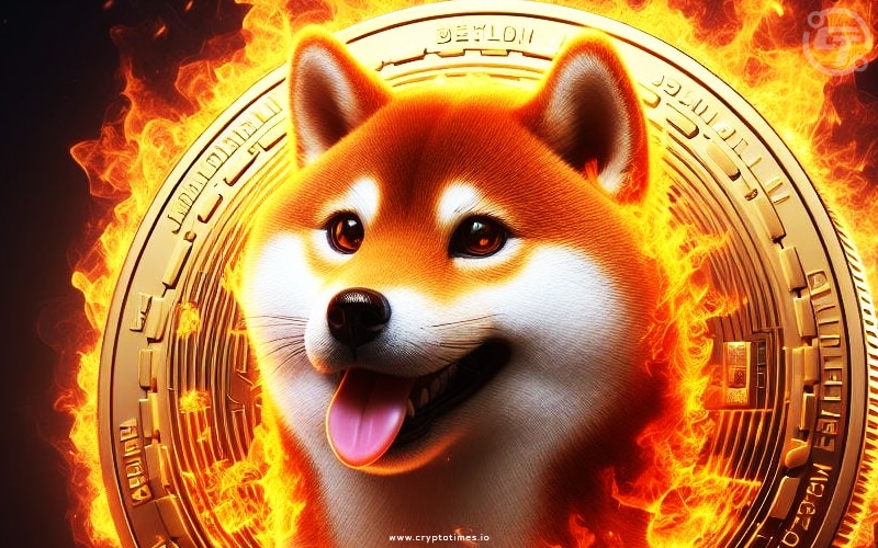 Shiba Inu Raises $12 Million For A New Privacy Blockchain