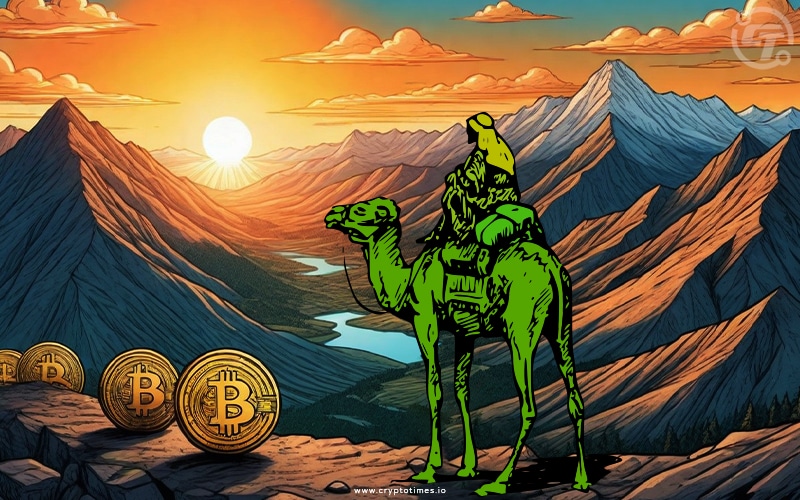 Road To Nowhere: The Silk Road Phoenix That Continues To Rise