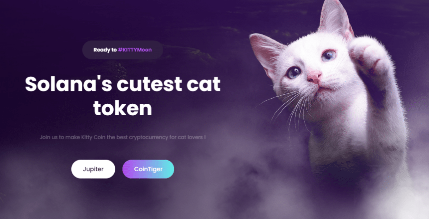 Kitty Coin Could Make Investors Rich Like Shiba and Doge