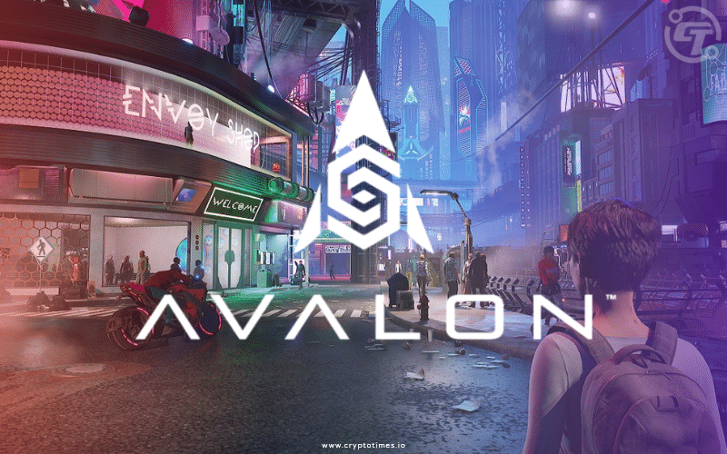 Crypto Gaming Studio Avalon Secures $10 Million Investment
