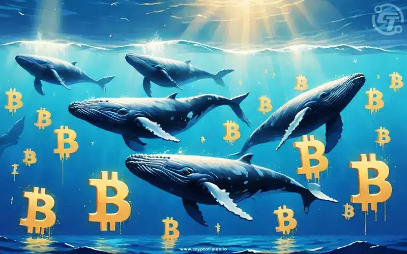 Massive $1.3B Crypto Whale Transfer Sparks Market Buzz