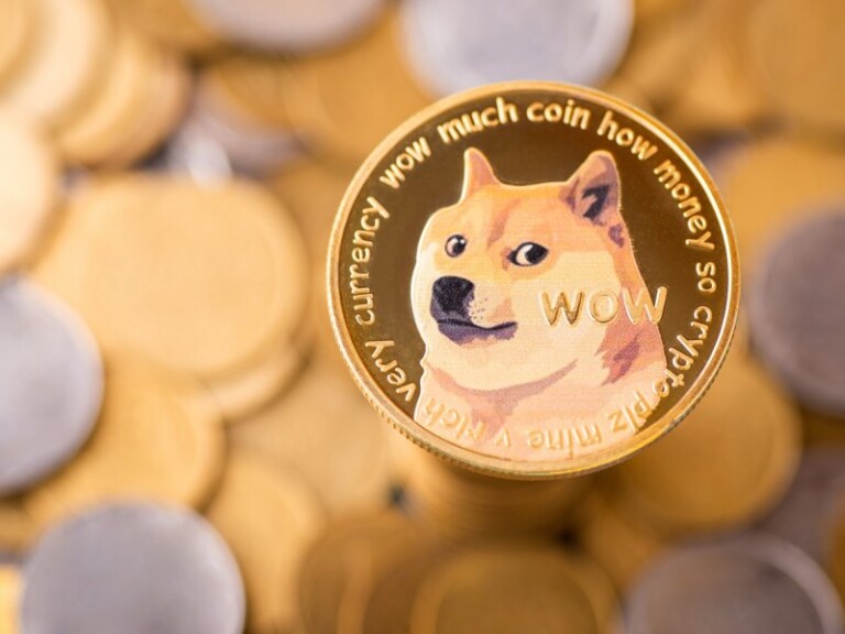 "Own The Doge" Acquires Doge Meme Copyright