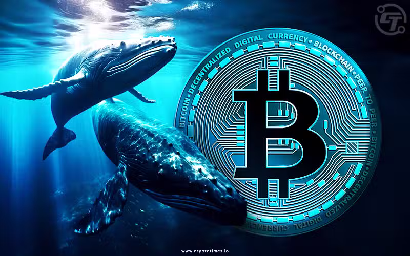 Bitcoin Whale Wallets Transfer $61M In Btc After 10 Years