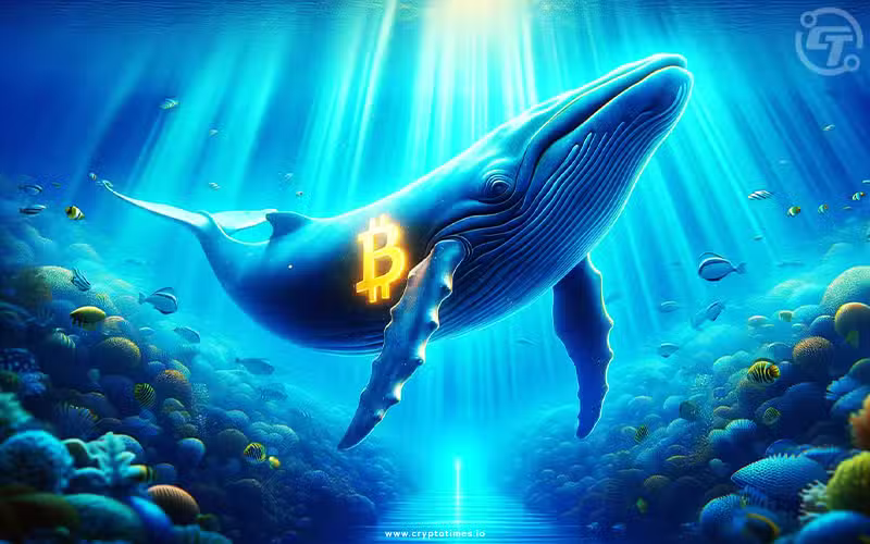 Bitcoin Whales Accumulated 47,500 Btc Worth $2.8B In 24 Hrs