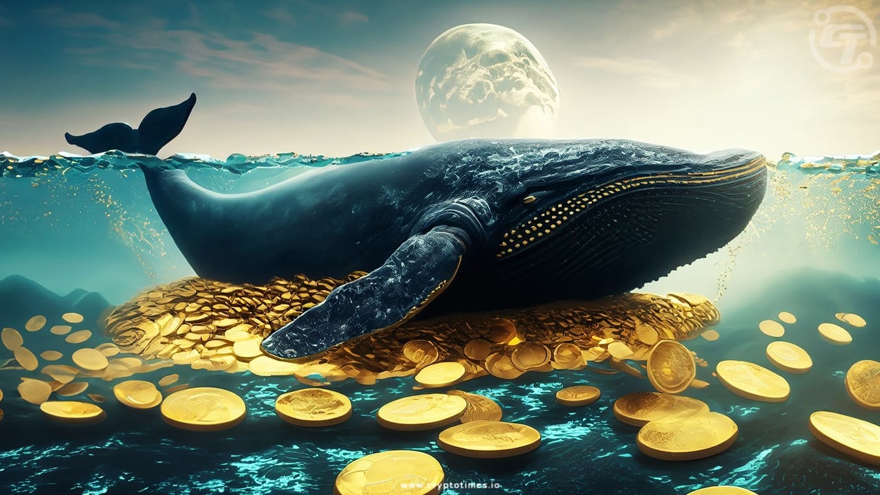 Ftx &Amp; Alameda Whales Transfer $8.3 Million Into Wintermute