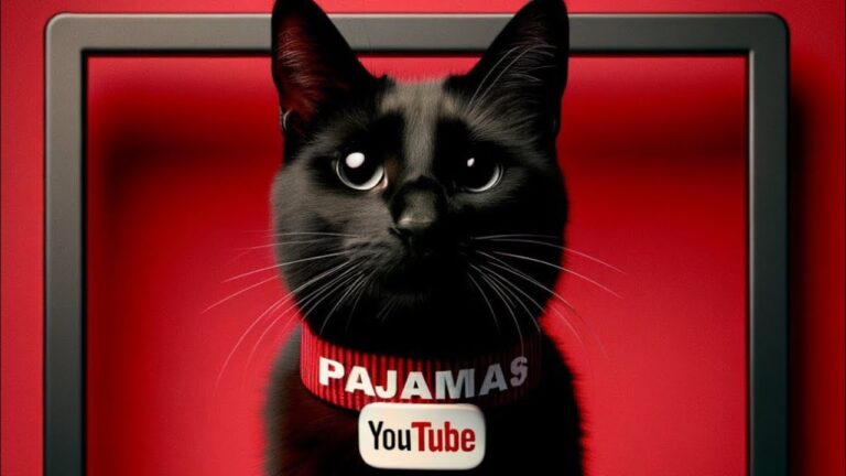YouTube Co-founder Supports Pajamas Memecoin