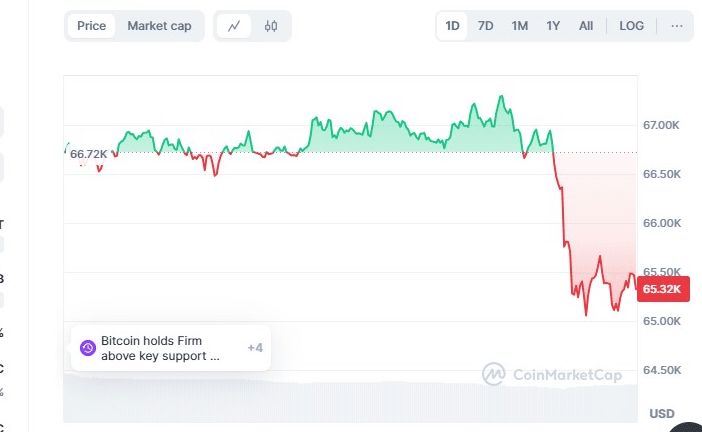 BTC and USD 24 Hour Price Chart