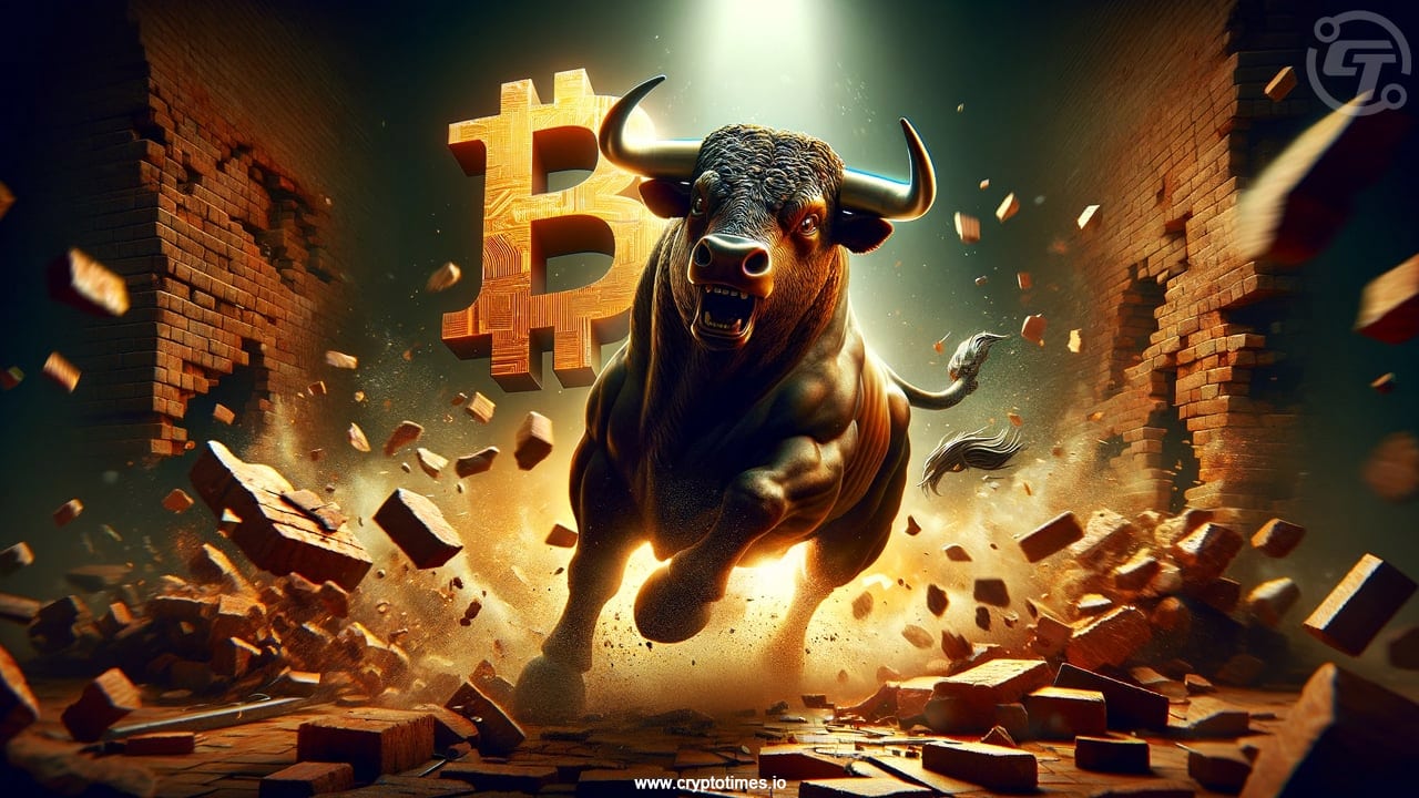 Bitcoin Bull Market To Top In Q4 2024