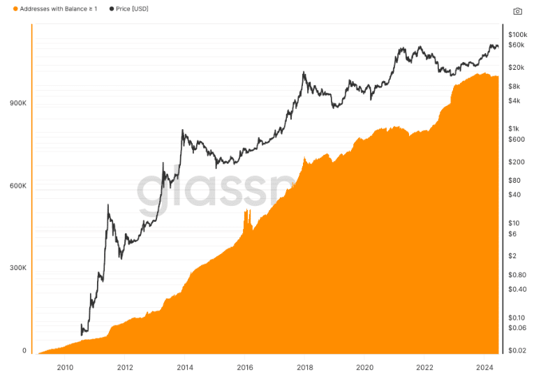 Bitcoin 'Wholecoiners' Above 1 Million for 13 Consecutive Months