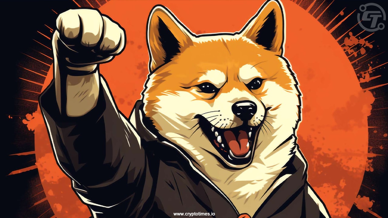 Shiba Inu Team Shares Shibarium Blockchain Progress