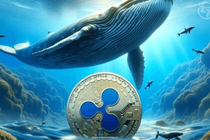 Ethereum Whales