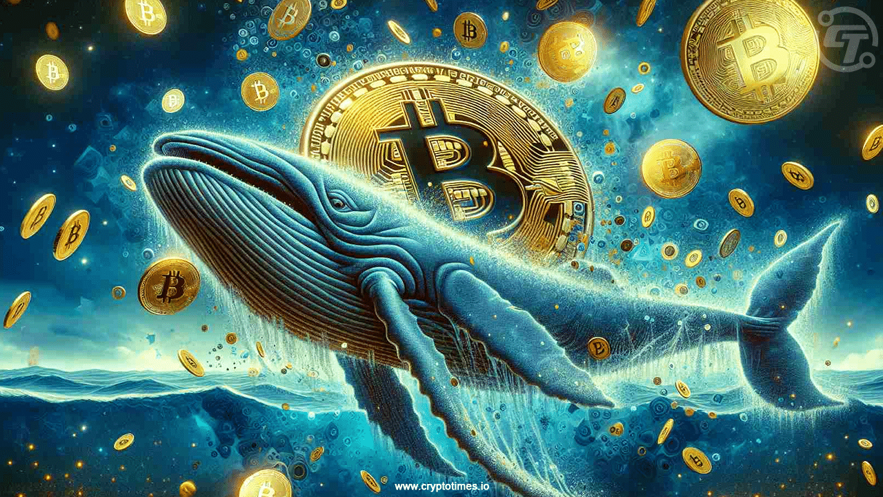 Bitcoin Whales Grab $1.4 Billion In A Single Correction Day